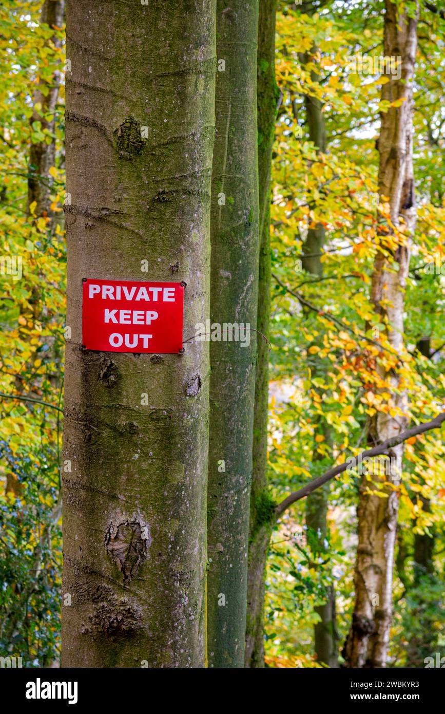Cartello privato "keep out" su un albero nel bosco in campagna. Foto Stock