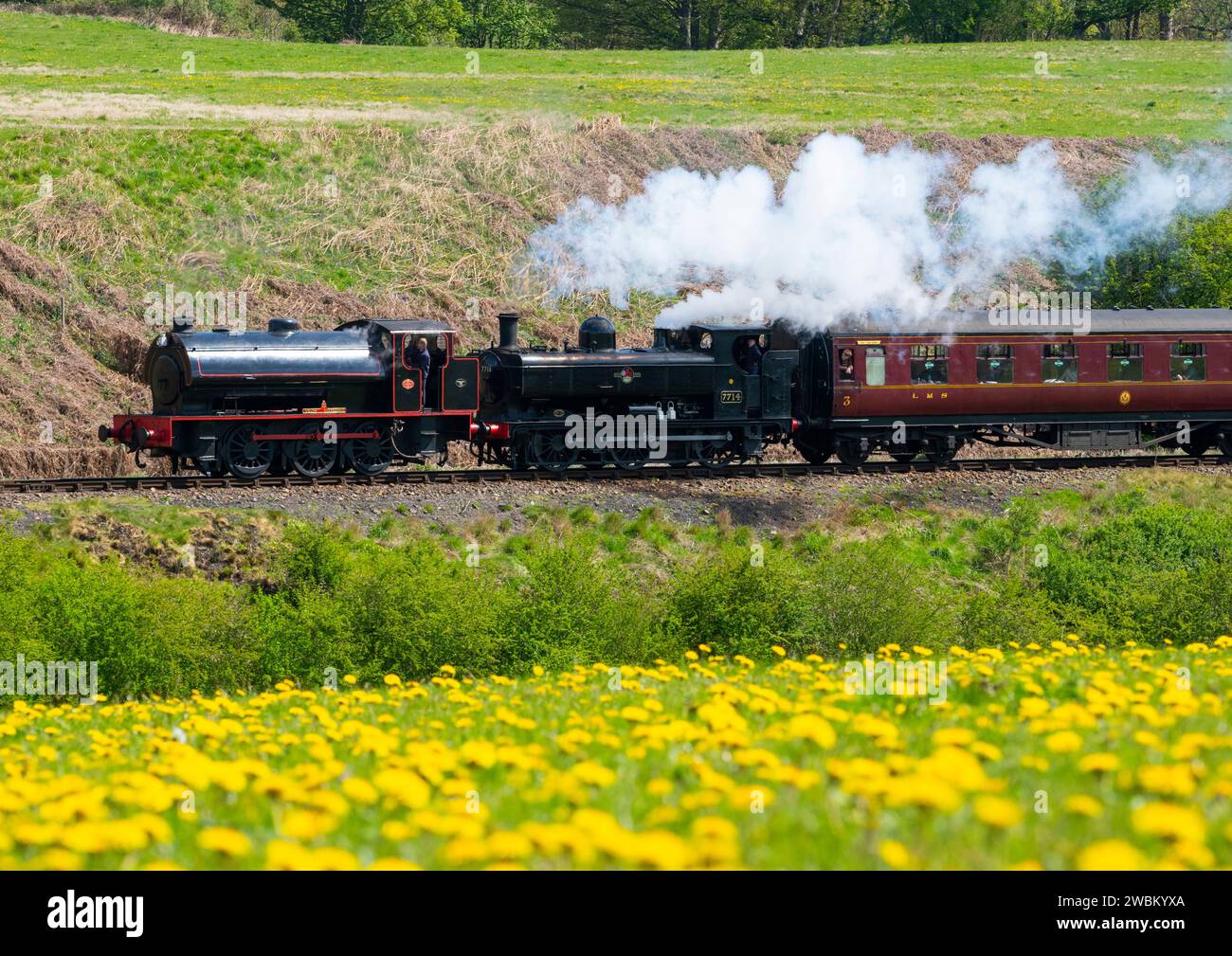 WD 71516 Welsh Guardsman e GWR Pannier 7714 durante il Severn Valley Railway Spring Steam Gala, vicino Eardington, Shropshire. Foto Stock