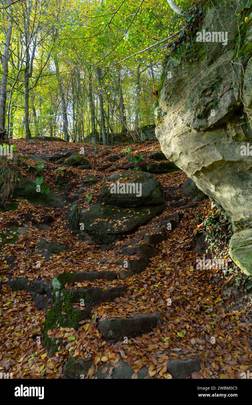 Sentiero escursionistico nella valle chiamato Mullerthal in Lussemburgo Foto Stock