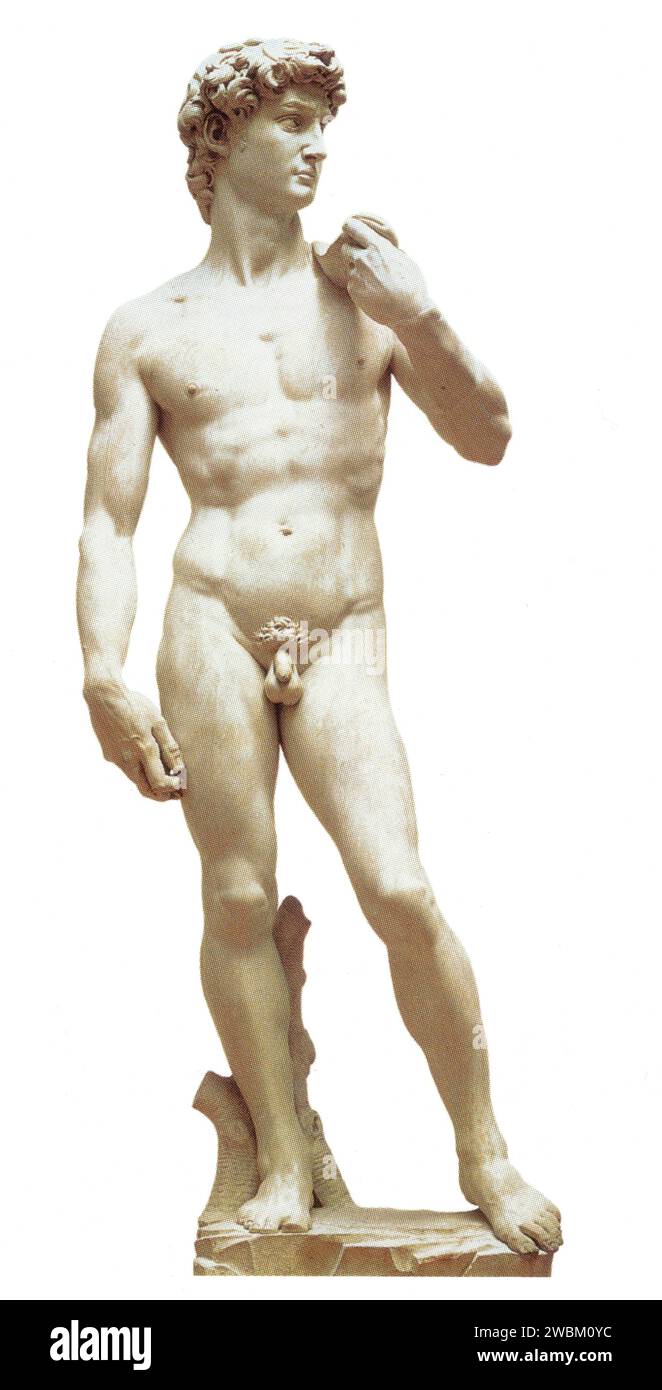 MICHELANGELO. DAVID. 1501-1504. MARMO. ALTEZZA 4,10 M. Foto Stock