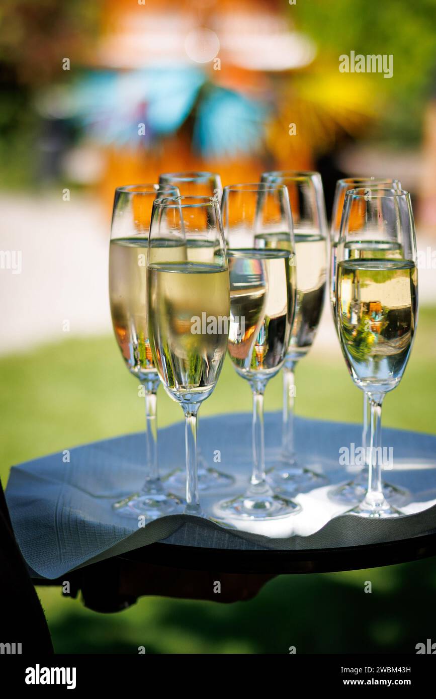 Un cameriere serve un vassoio di bicchieri di champagne ad una folla allegra di ospiti ad una festa in giardino. Foto Stock