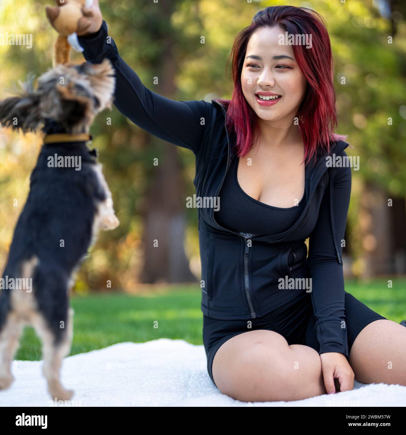 Donna cinese che gioca con il suo cane Yorkshire Terrier nel parco Foto Stock