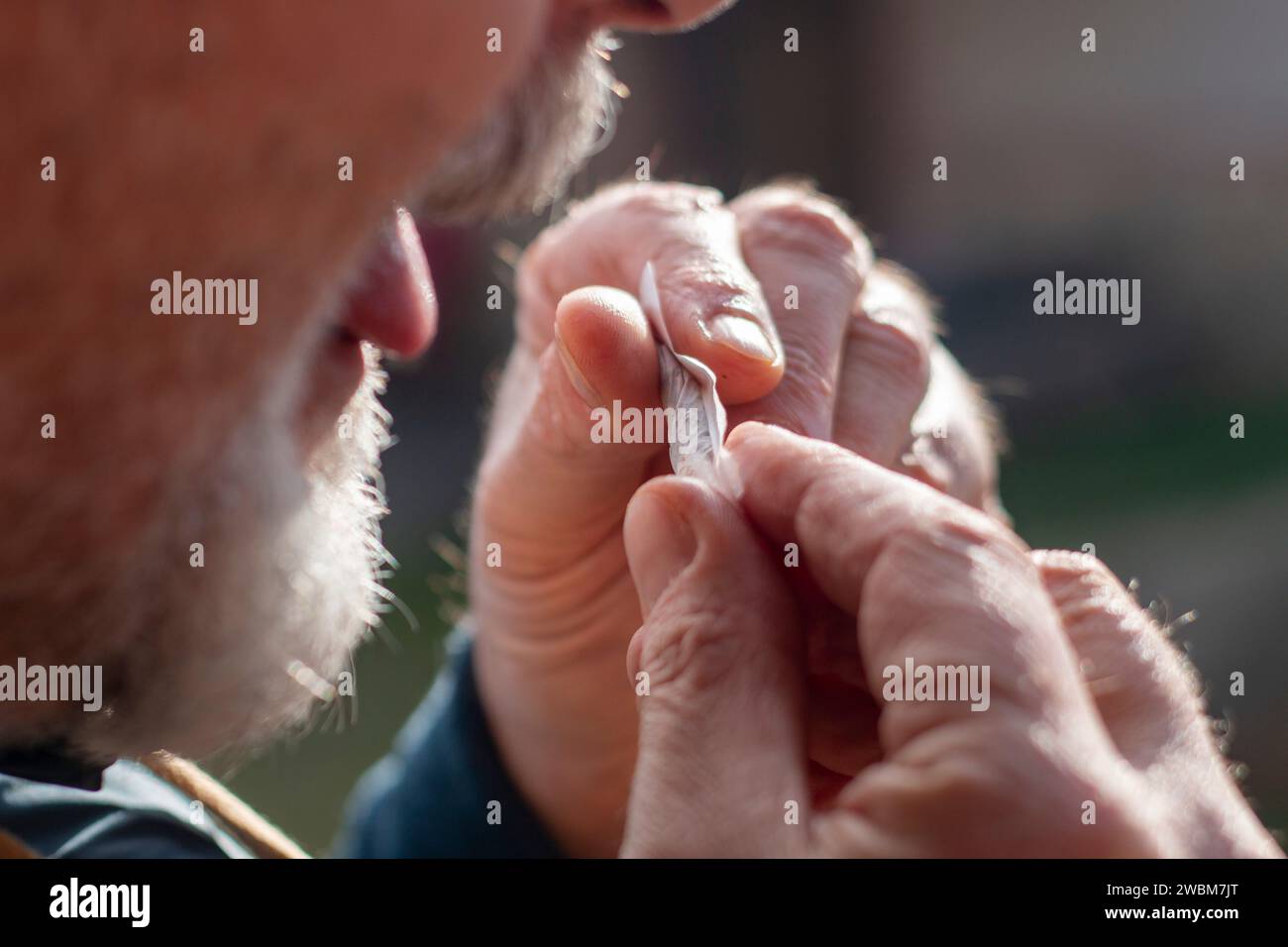 Le mani di un uomo che gira una sigaretta, la carta sul tabacco Foto Stock