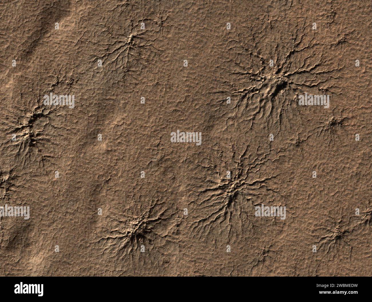 La telecamera High Resolution Imaging Science Experiment sul Mars Reconnaissance Orbiter della NASA ha catturato questa immagine di caratteristiche a forma di ragno su Marte, scolpite vaporizzando il ghiaccio secco. Foto Stock
