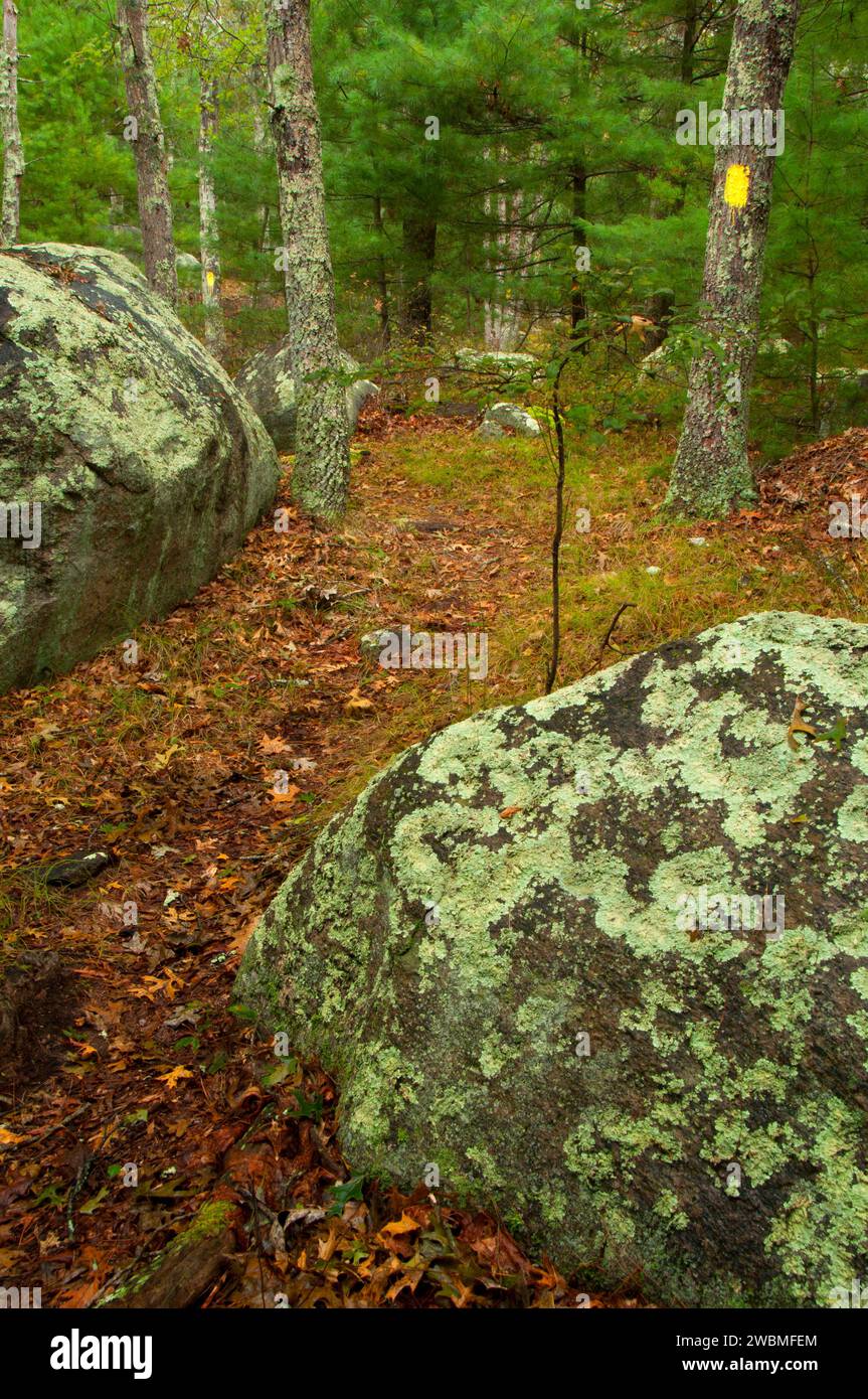 Boulder Giardino, Stagno Tillinghast Area di gestione, Rhode Island Foto Stock