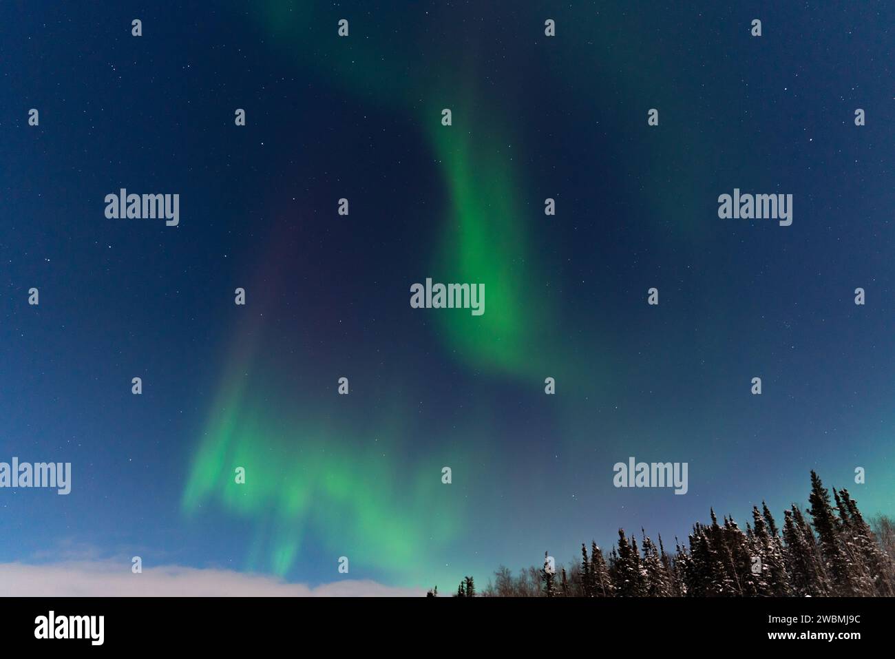 Aurora boreale, aurora boreale, a Yellowknife, territori del Nord-Ovest, Canada Foto Stock