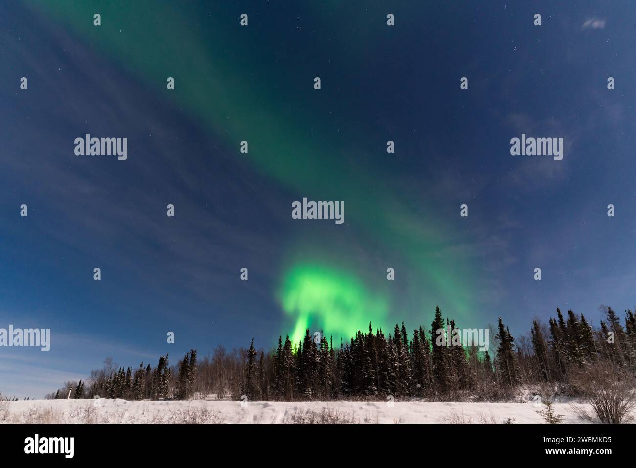 Aurora boreale, aurora boreale, a Yellowknife, territori del Nord-Ovest, Canada Foto Stock