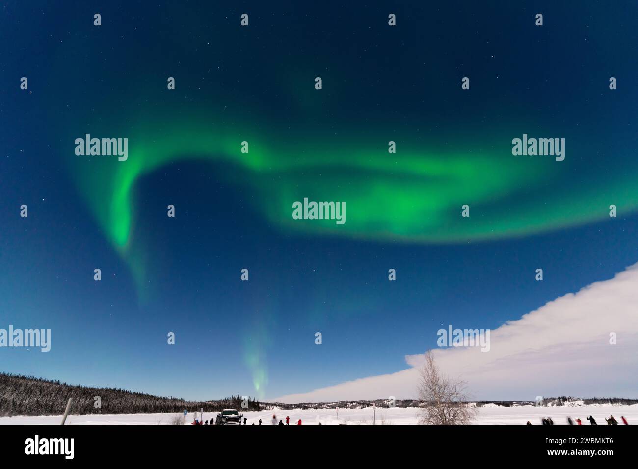 Aurora boreale, aurora boreale, a Yellowknife, territori del Nord-Ovest, Canada Foto Stock