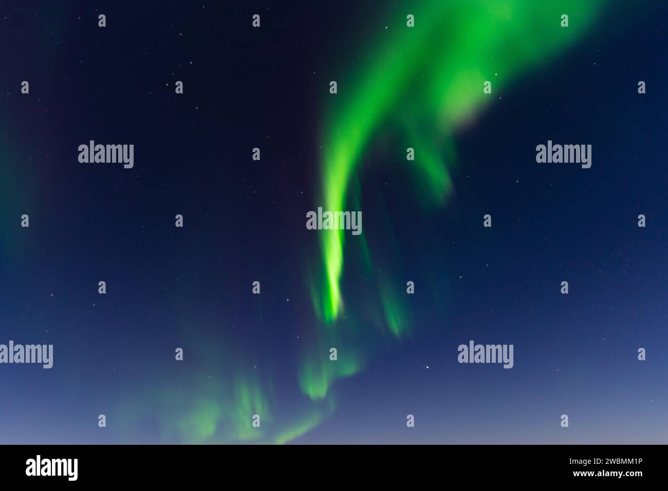 Aurora boreale, aurora boreale, a Yellowknife, territori del Nord-Ovest, Canada Foto Stock
