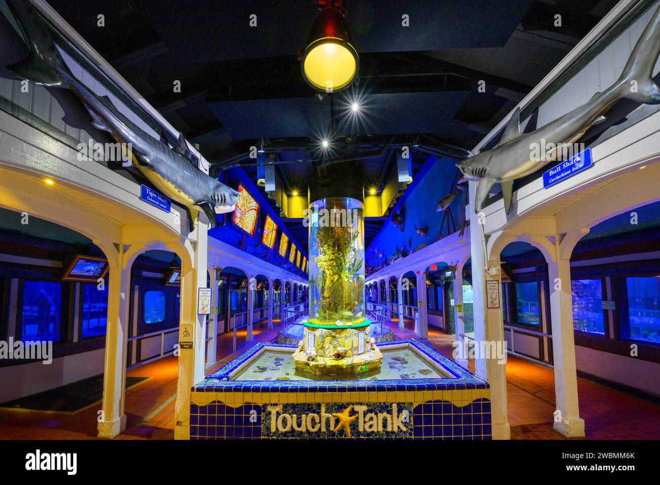 Key West Aquarium, Key West, Florida USA Foto Stock