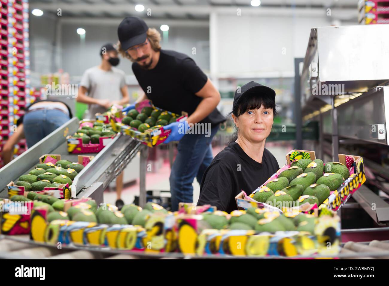 Bella donna che lavora al magazzino di frutta Foto Stock