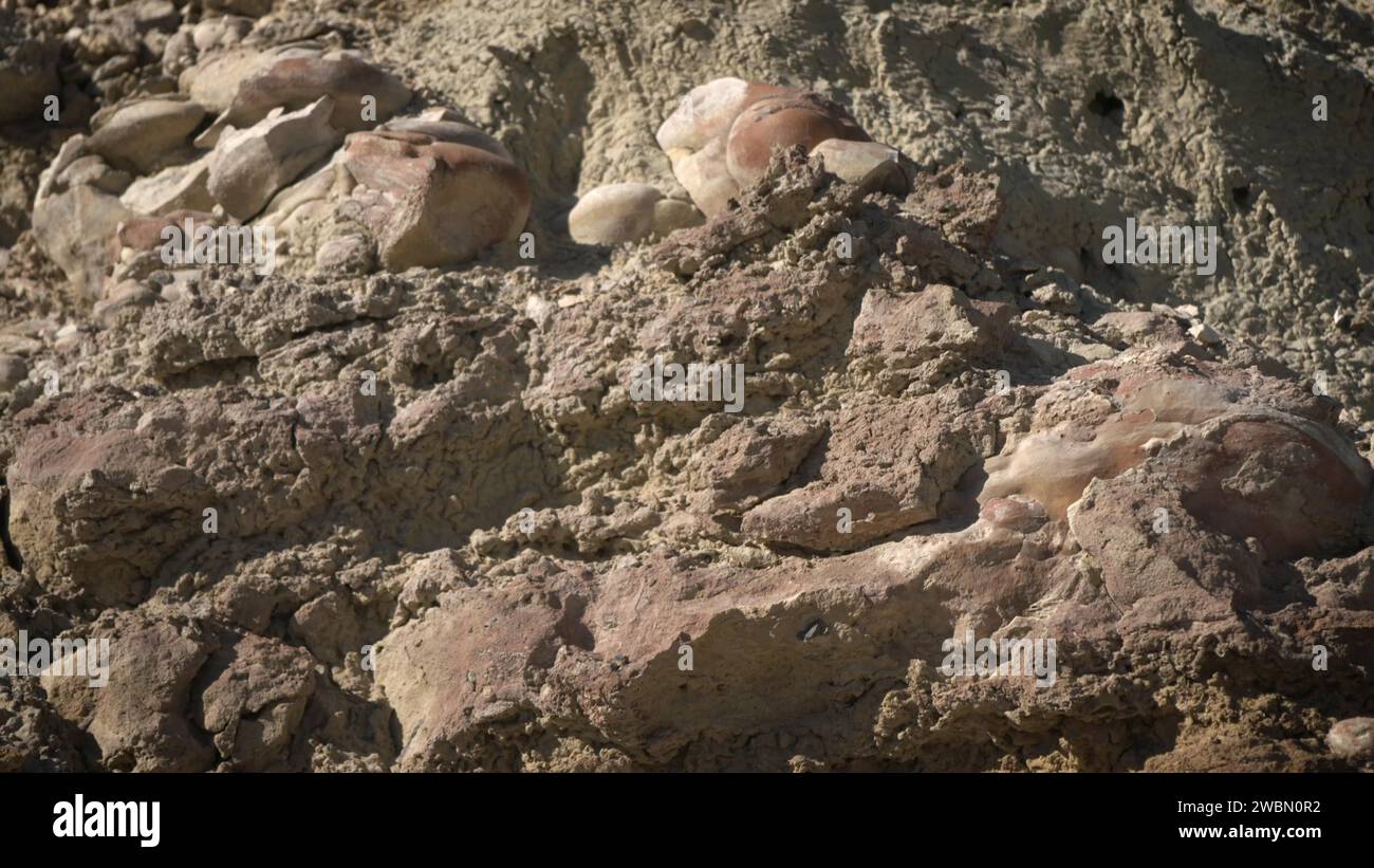 Rocce arrotondate chiamate stromatoliti, fatte da microbi e sedimenti fossilizzati, sono state studiate in un letto di lago asciutto sulla Terra per guidare l'esplorazione rover di perseveranza su Marte per potenziali segni di vita antica. Foto Stock