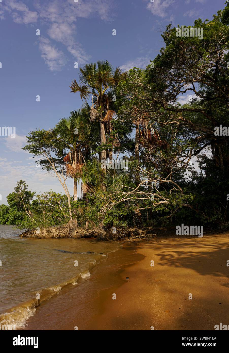 La spiaggia di Leper Island Foto Stock