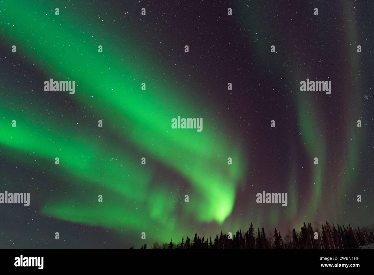 Aurora boreale, aurora boreale, a Yellowknife, territori del Nord-Ovest, Canada Foto Stock