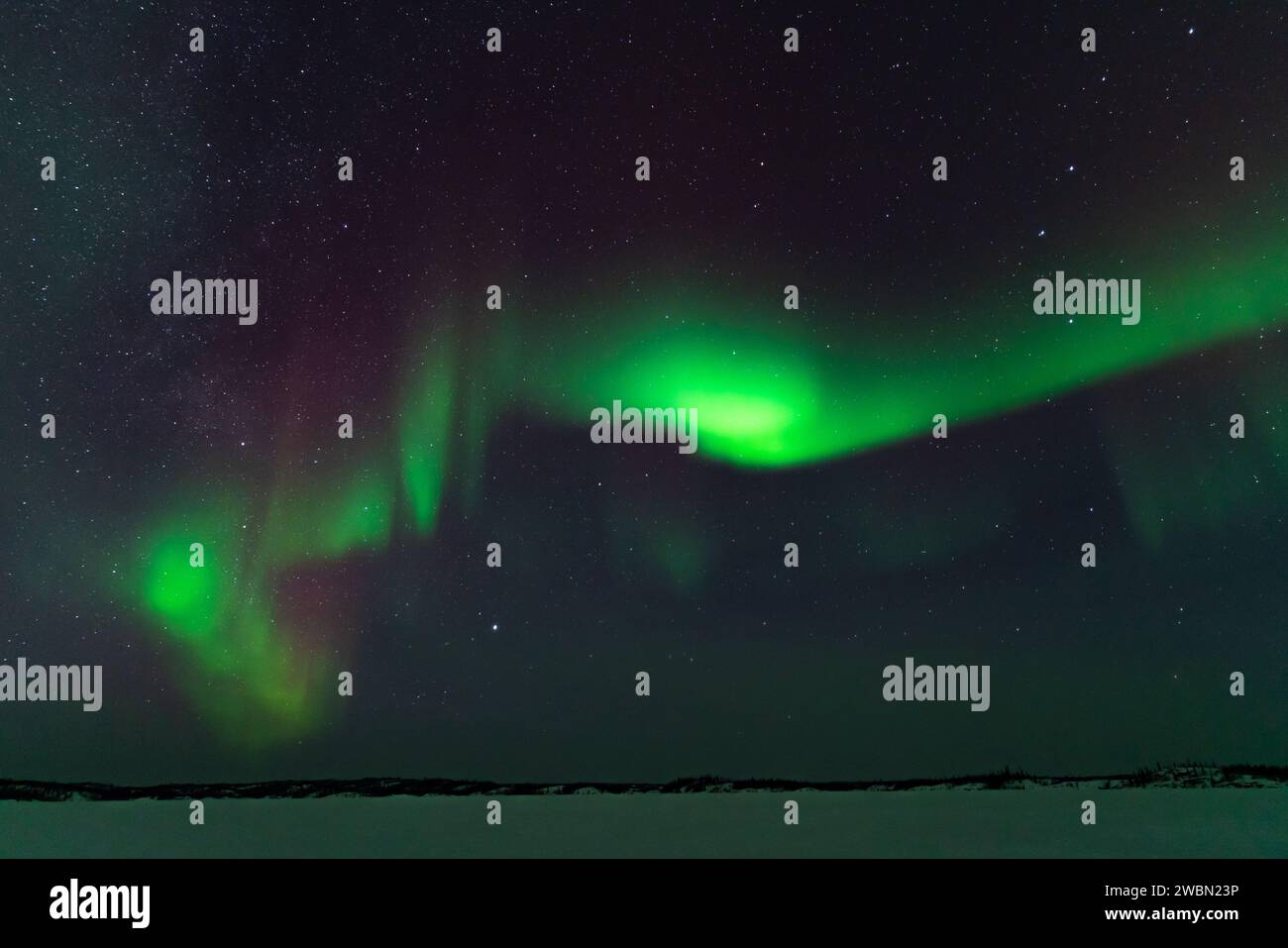 Aurora boreale, aurora boreale, a Yellowknife, territori del Nord-Ovest, Canada Foto Stock