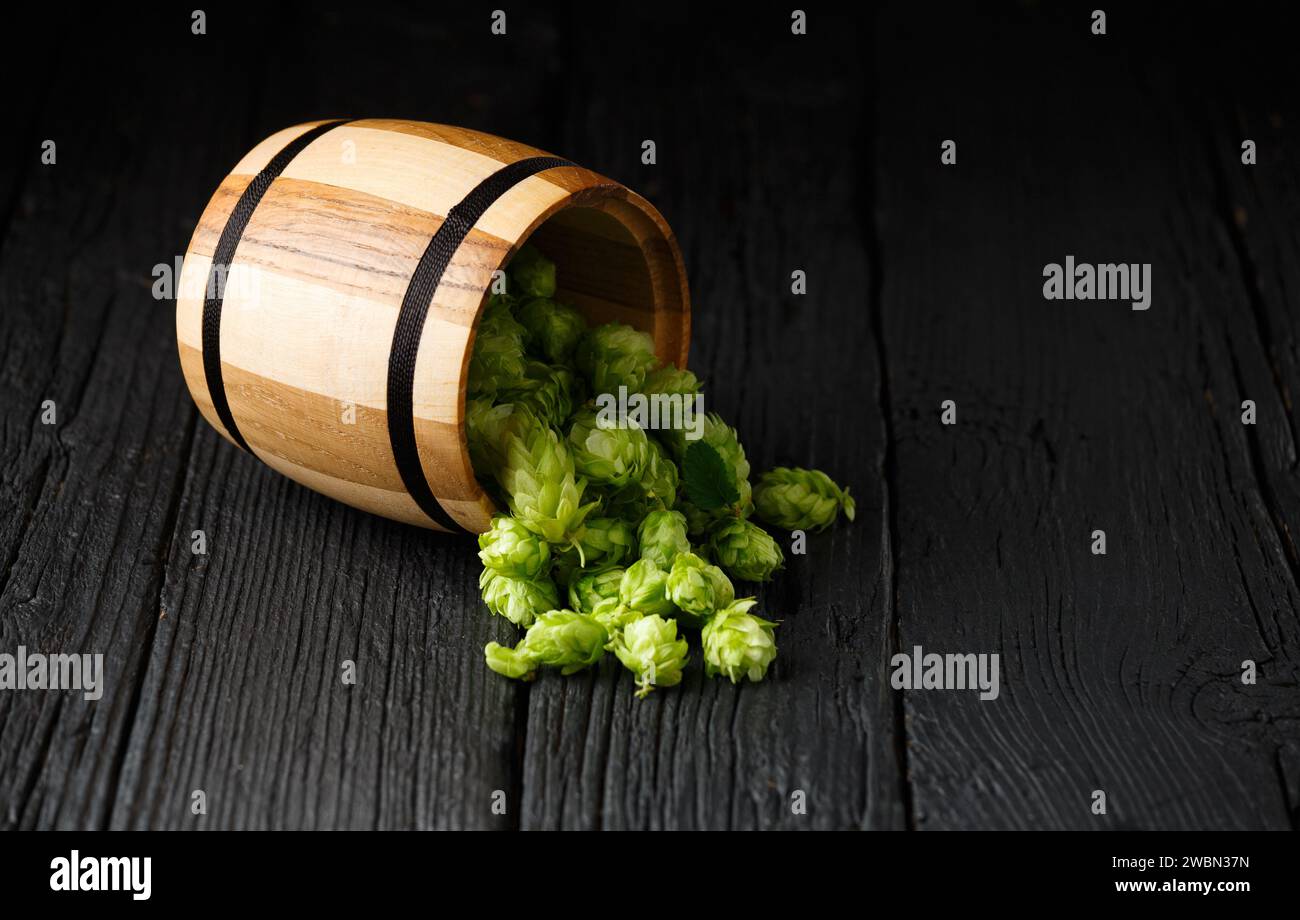 Luppolo verde in una botte di legno su sfondo di legno nero, spazio per le copie. Tradizione della produzione di birra. Oktoberfest. Festival della birra. St.Patrick 's Day Foto Stock