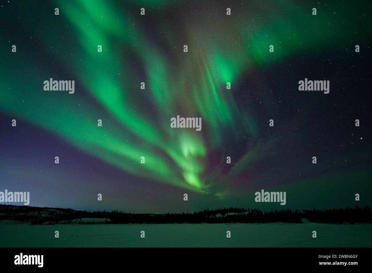 Aurora boreale, aurora boreale, a Yellowknife, territori del Nord-Ovest, Canada Foto Stock