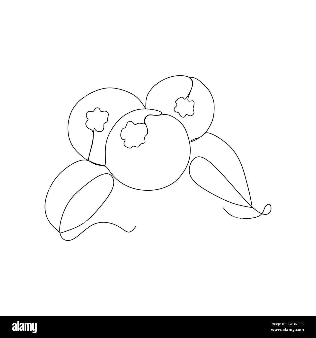 Disegno continuo a una linea singola del concetto di illustrazione vettoriale dell'icona dei frutti di ciliegio Illustrazione Vettoriale
