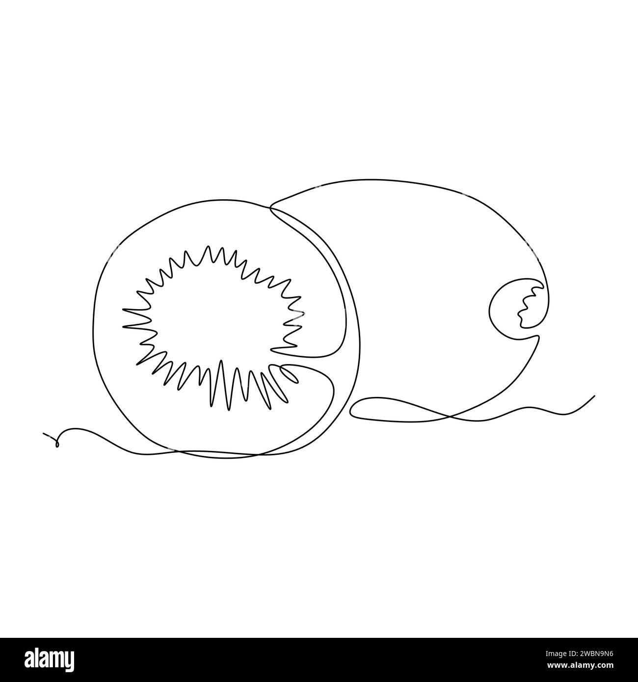 Disegno continuo a una linea di kiwi. Illustrazione vettoriale per l'elemento di progettazione del concetto alimentare Illustrazione Vettoriale