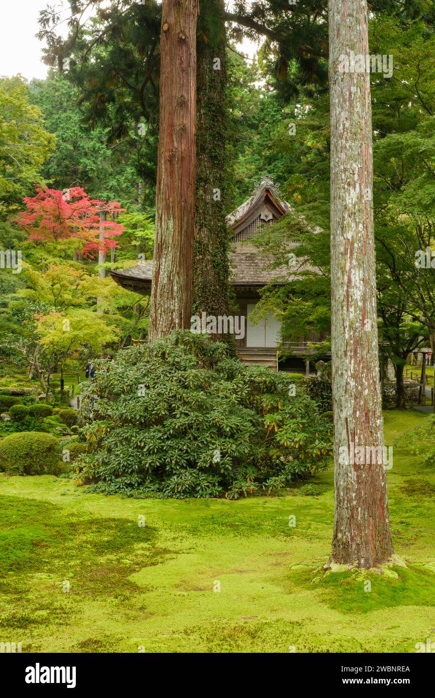 I colori autunnali iniziano a mostrare al tempio di San Zen-in a Ohara, in Giappone. Foto Stock