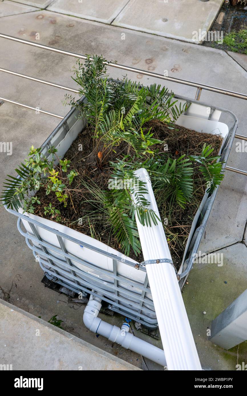 La NASA e la Jacobs Technology hanno costruito un bio-filtro presso il complesso di lancio 39 del Kennedy Space Center per rimuovere lo zinco dal deflusso del tetto. Il sistema utilizza rocce, suolo e piante autoctone per filtrare l'acqua prima di entrare nella laguna del fiume Indiano, sostenendo la sostenibilità ambientale. Fotografato il 29 settembre 2020. Foto Stock