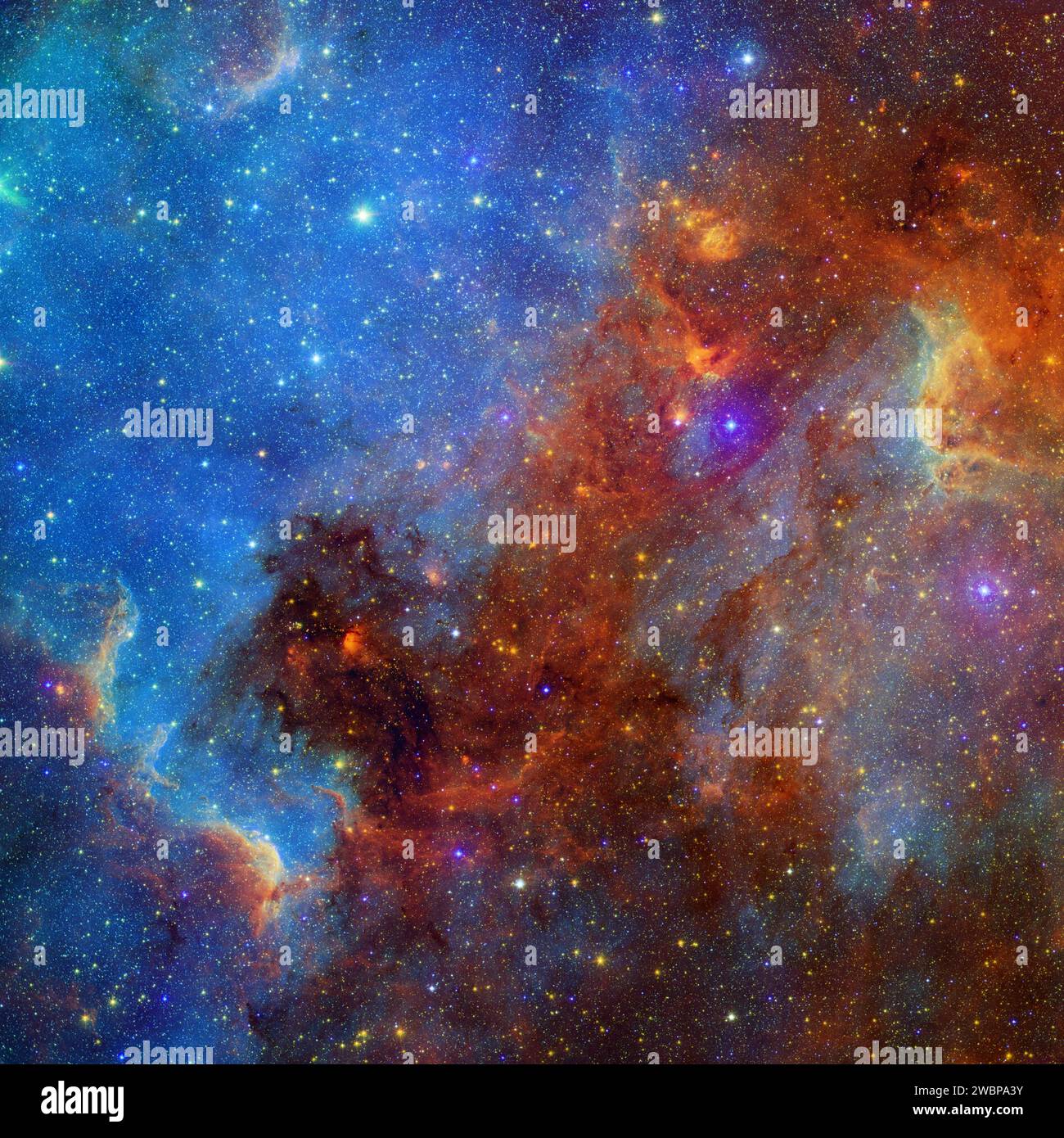 Questa visione della nebulosa del Nord America combina sia osservazioni di luce visibile che infrarossa, prese dal Digitized Sky Survey e dallo Spitzer Space Telescope della NASA. Ammassi di giovani stelle (circa un milione di anni) possono essere trovati in tutta l'immagine. Foto Stock
