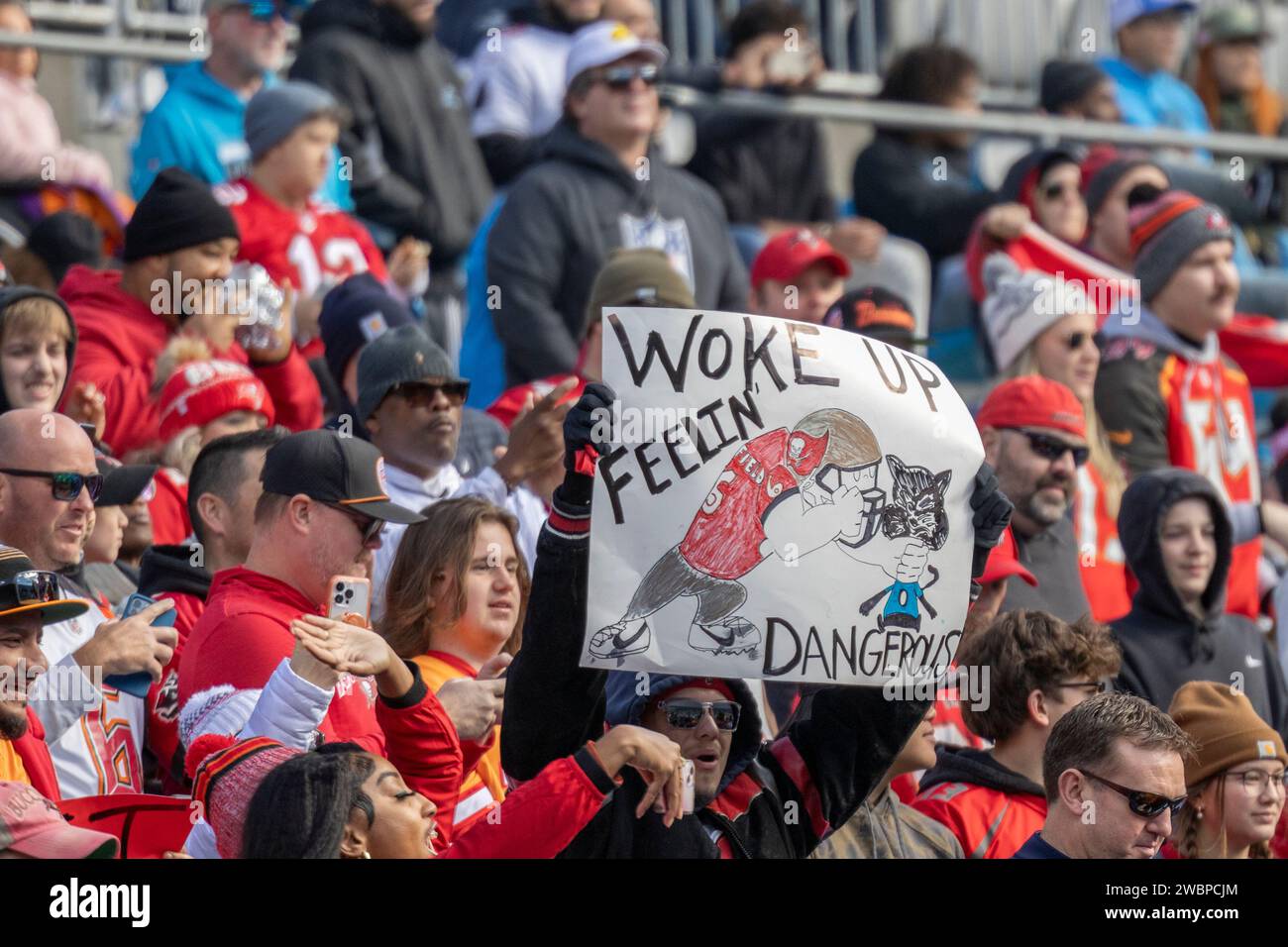 Charlotte, NC USA: Un'immagine generale dei tifosi che applaudono durante una partita NFL tra i Carolina Panthers e i Tampa Bay Buccaneers alla Bank of America Foto Stock