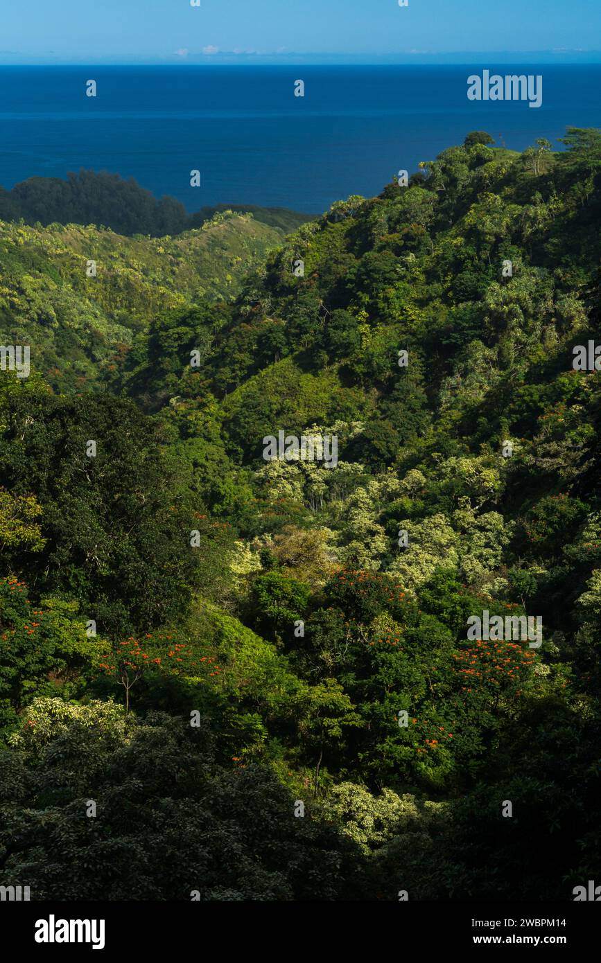 Ampia vista del paesaggio verdeggiante di Maui con uno sfondo oceanico lontano. Foto Stock