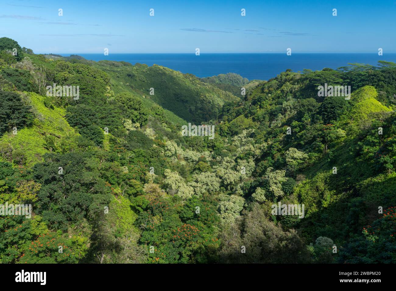 Ampia vista del paesaggio verdeggiante di Maui con uno sfondo oceanico lontano. Foto Stock