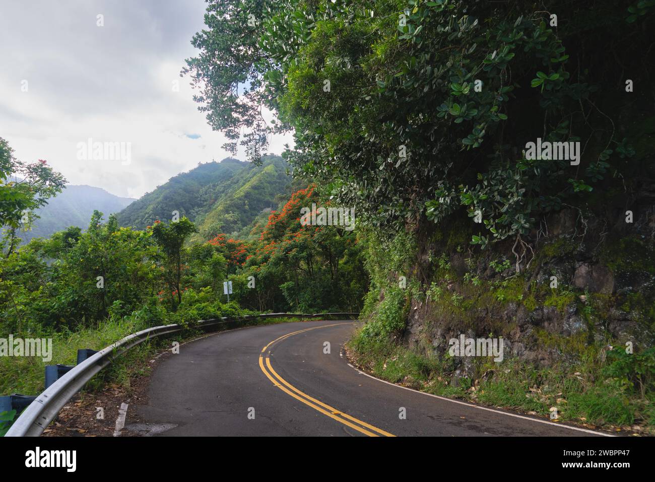 Esplora l'essenza di Maui sull'iconica Road to Hana, dove ogni curva rivela la lussureggiante bellezza e il fascino tranquillo dell'isola Foto Stock