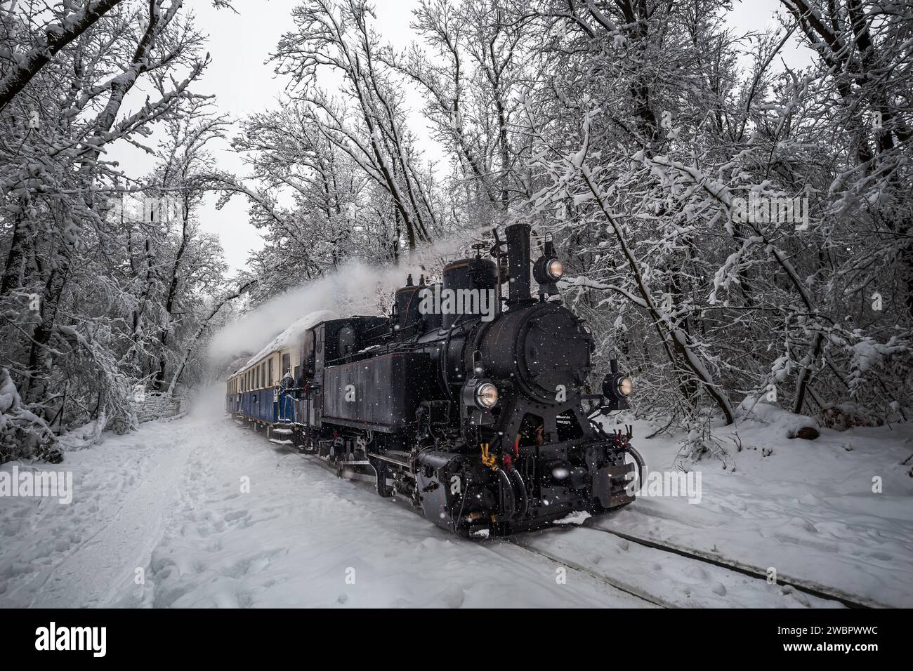 Budapest, Ungheria - bellissimo vecchio motore per carri armati nostalgico (treno per bambini) sulla pista della foresta innevata delle colline di Buda vicino a Csilleberc il prossimo dicembre Foto Stock