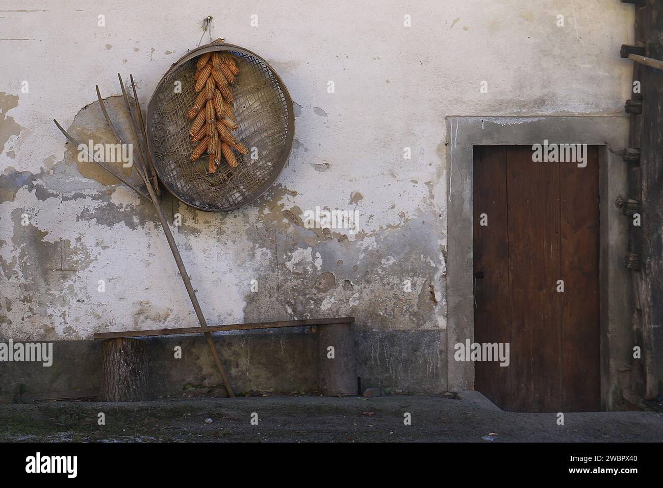 Muro di una casa rurale in Slovenia con attrezzi agricoli e orecchie di grani essiccati. Foto Stock