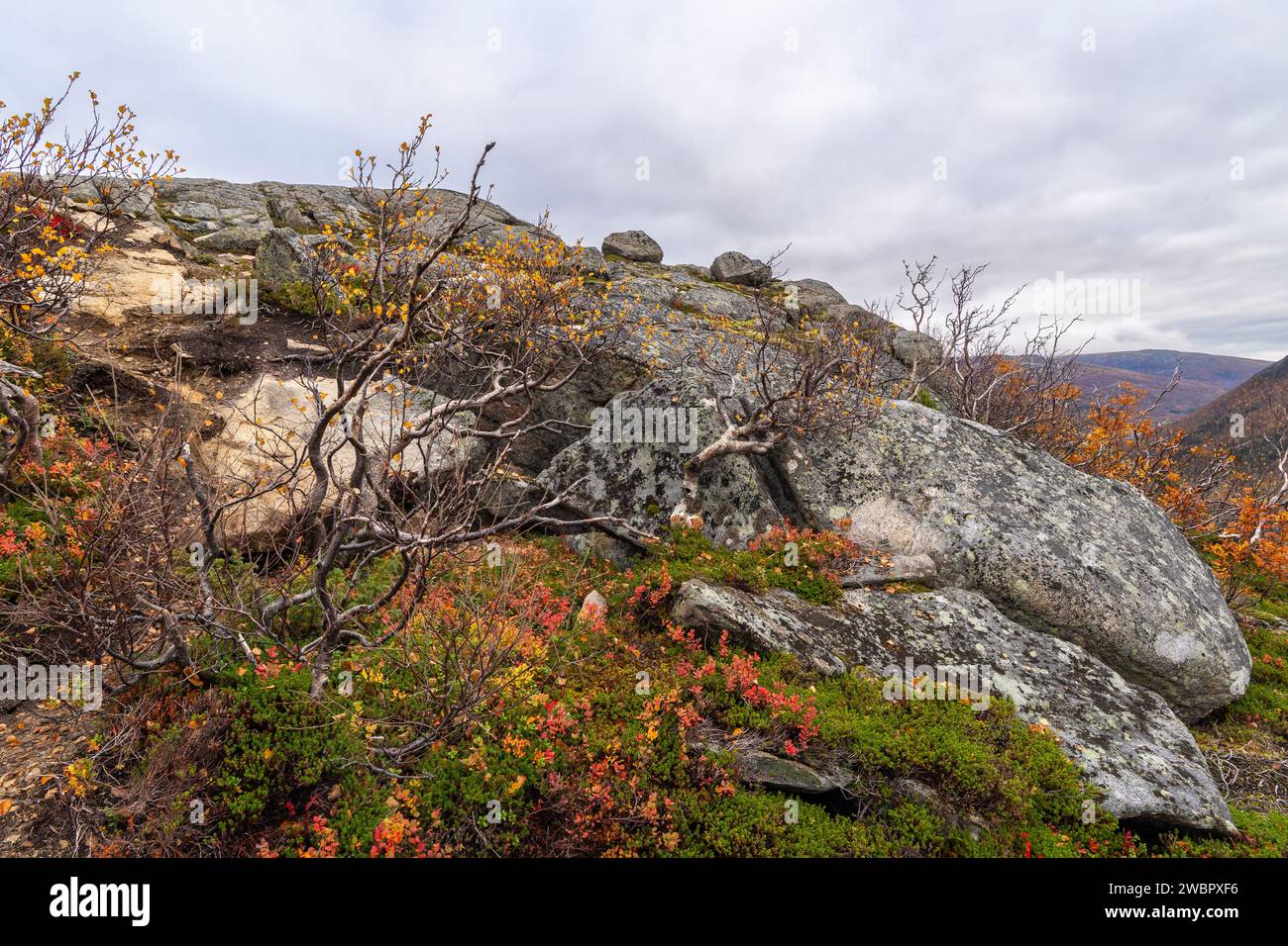 Pietra singola, masso, pietra di ghiacciaio arrotondata sull'isola di Kvaløya, a Troms, Norvegia. profonde valli glaciali con alberi di colore autunnale e picco roccioso Foto Stock