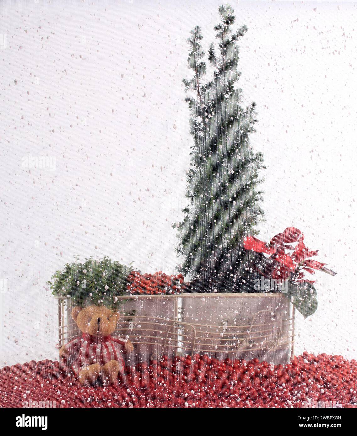 Un ambiente natalizio con disposizione delle piante, un orsacchiotto, rosso, palle e neve. Foto Stock