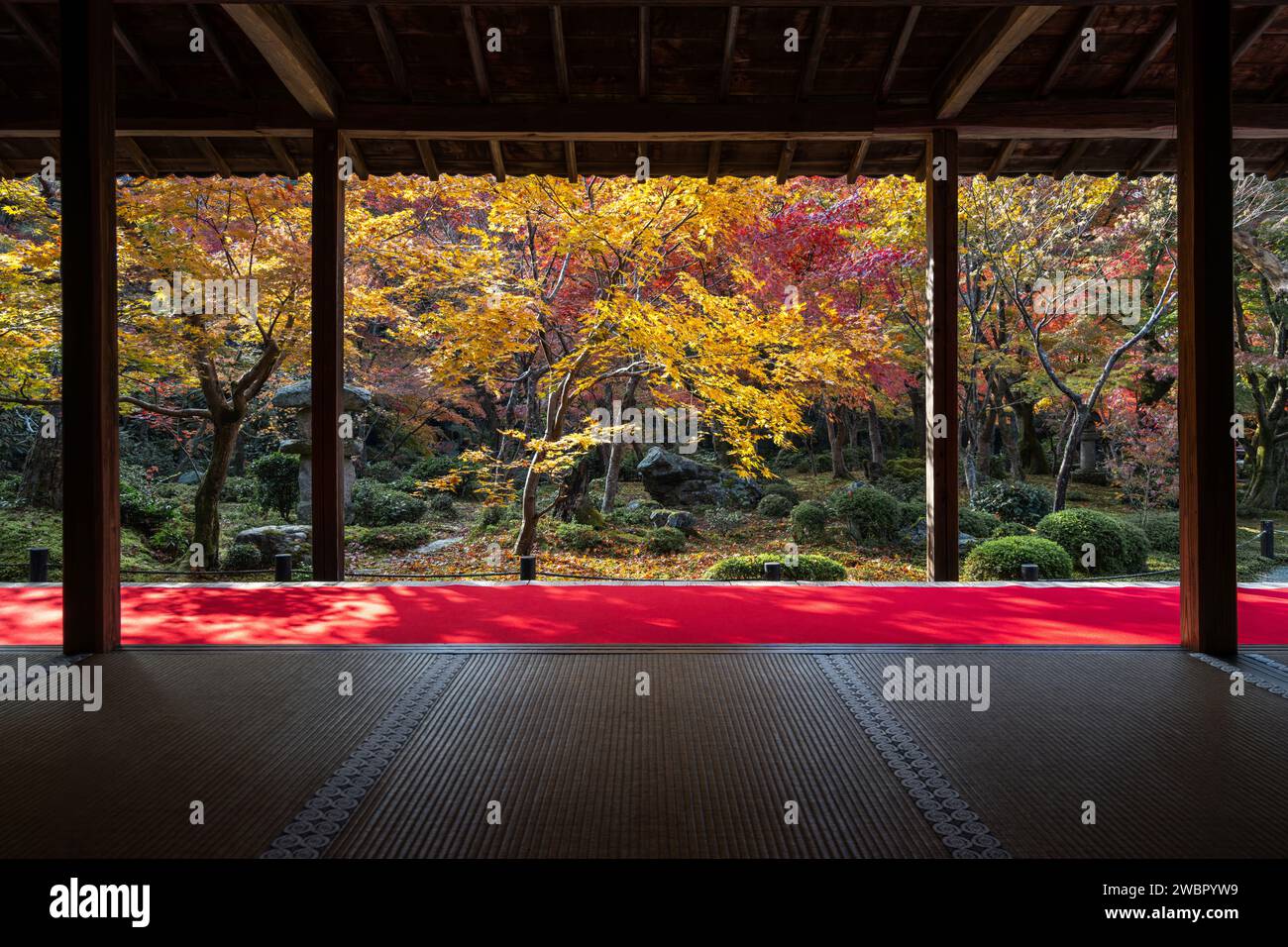 Autunno a Kyoto, Giappone, splendido giardino giapponese al tempio buddista Enkoji durante la stagione autunnale. Foto Stock