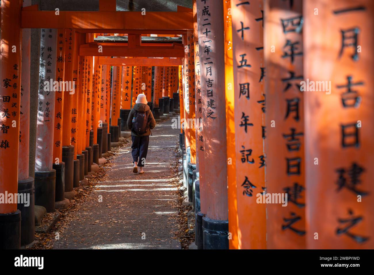 Viaggiatore che cammina attraverso le porte torii del santuario Fushimi Inari a Kyoto, Giappone. Foto Stock