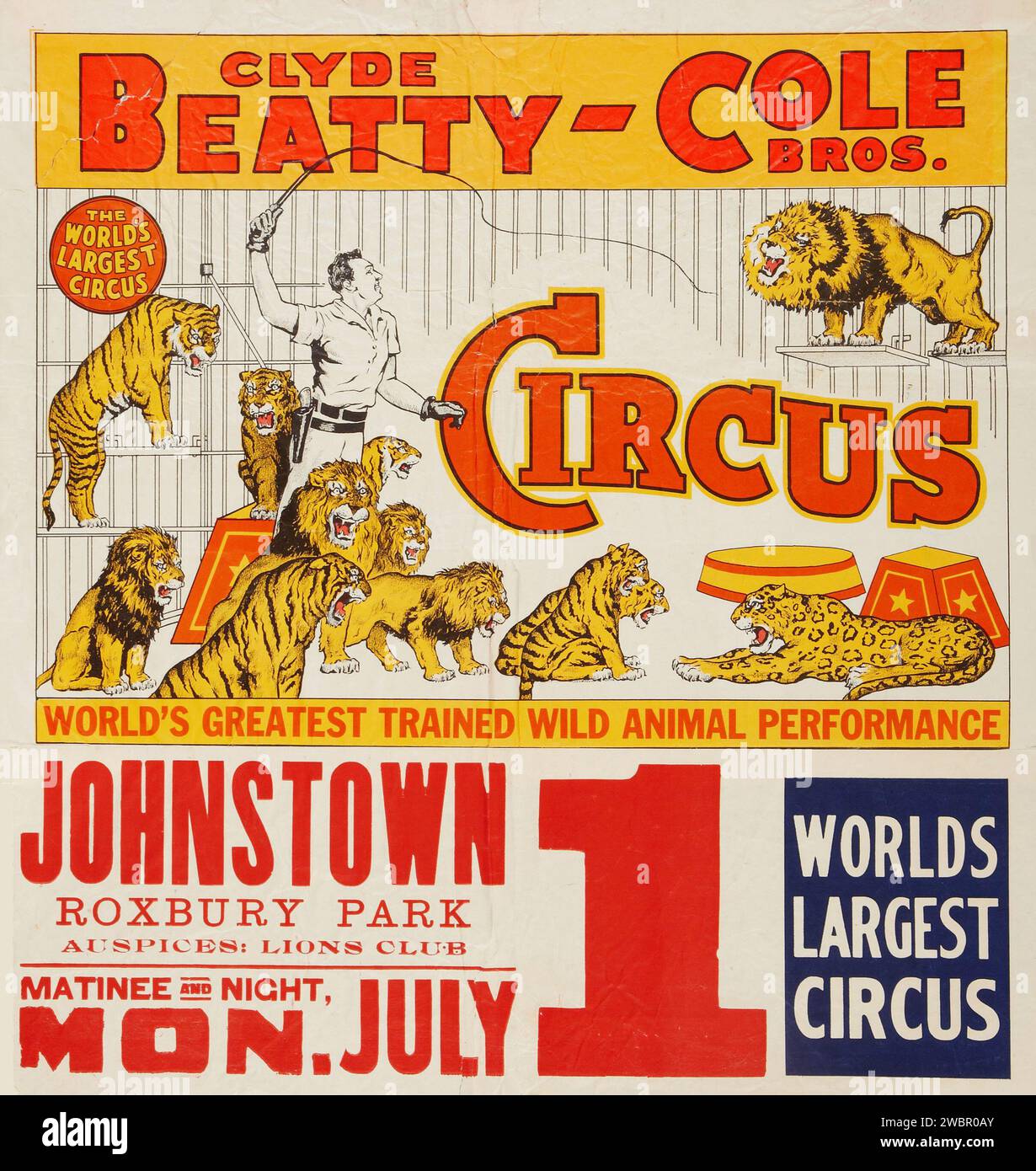 Allenatore di animali selvatici Clyde Beatty - Cole Brothers Circus (Johnstown, Roxbury Park, 1 luglio 1957). Poster del circo Foto Stock