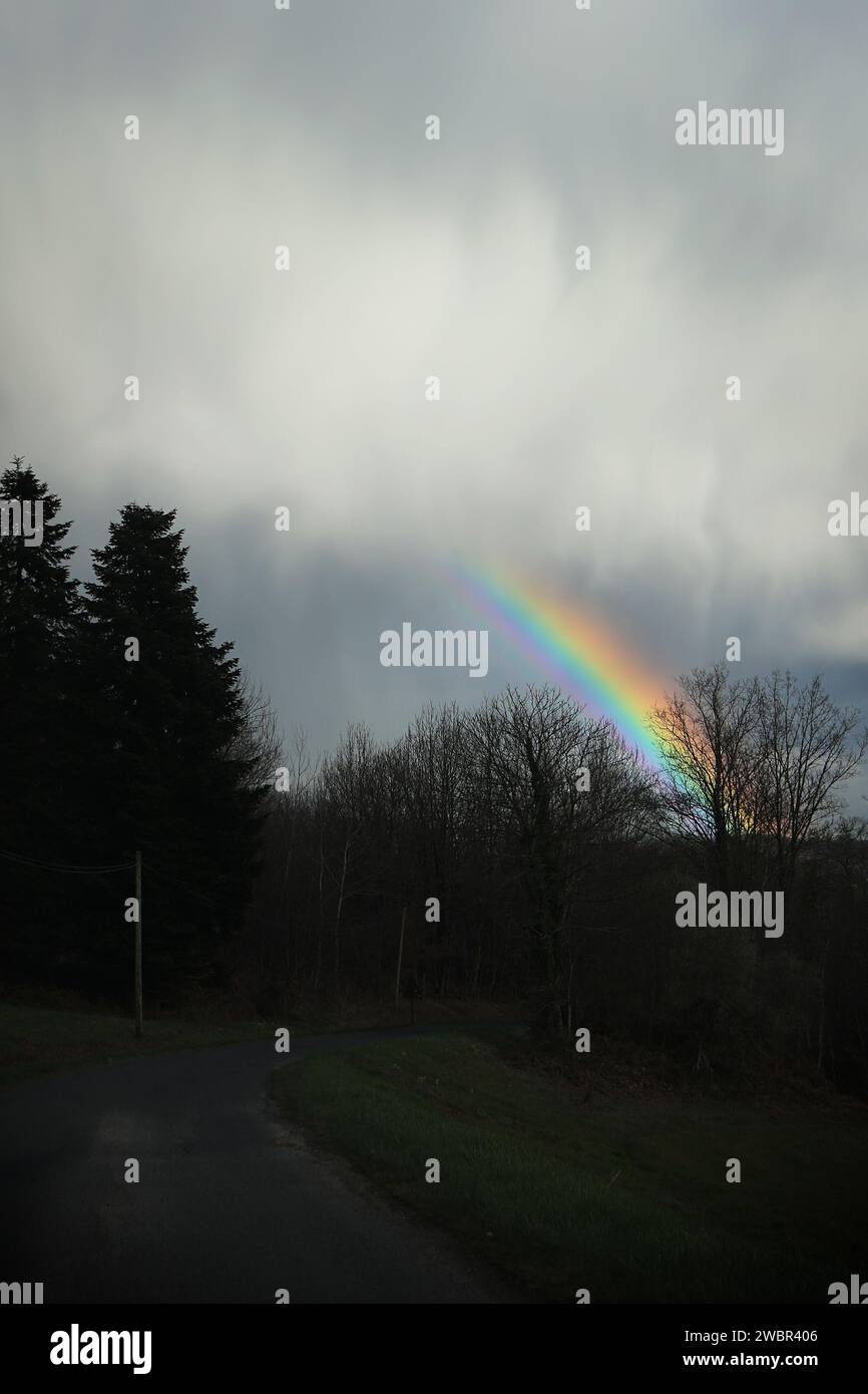 Un arcobaleno che splende sugli alberi dopo una tempesta. Foto Stock