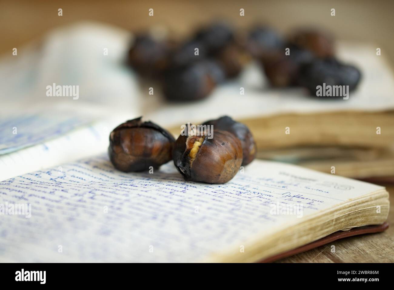 Un libro aperto pieno di castagne, su una superficie piana Foto Stock