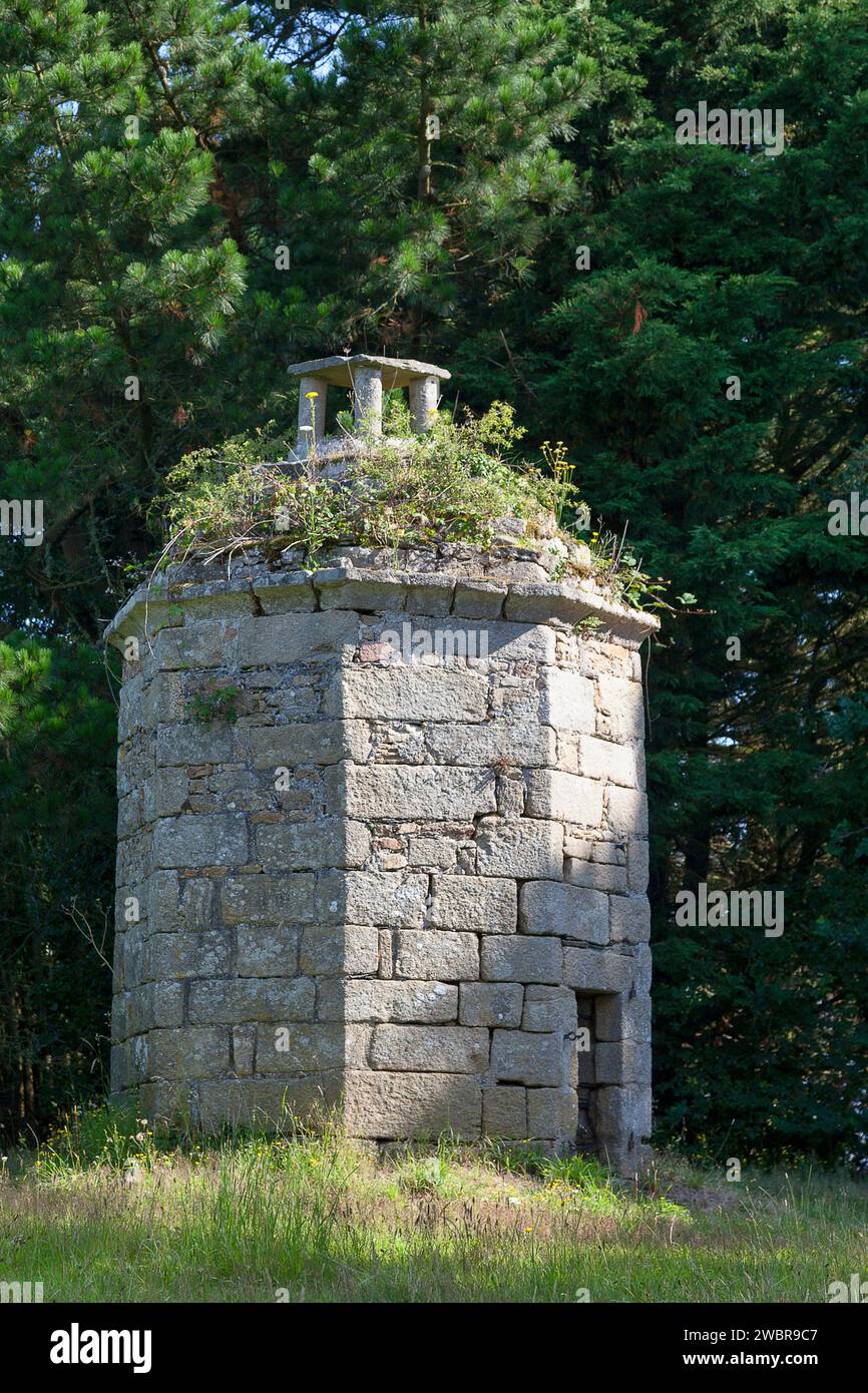 La colomba della Cappella di San Carlo Borromée (XVII secolo) dell'ex maniero di Kerigou en Trégondern a Saint-Pol-de-Léon. Foto Stock