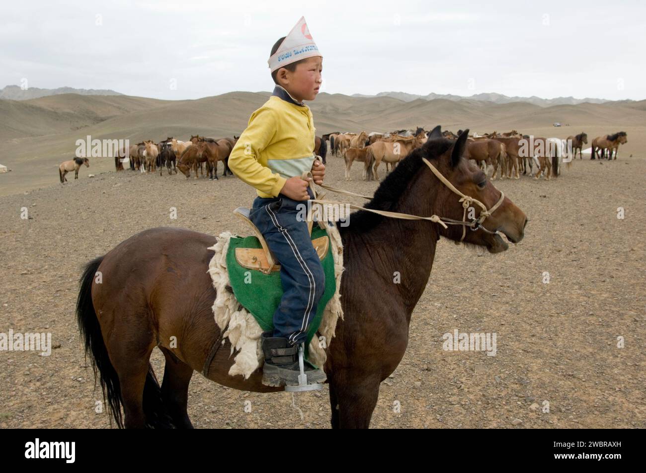 Gobi boy a cavallo Foto Stock