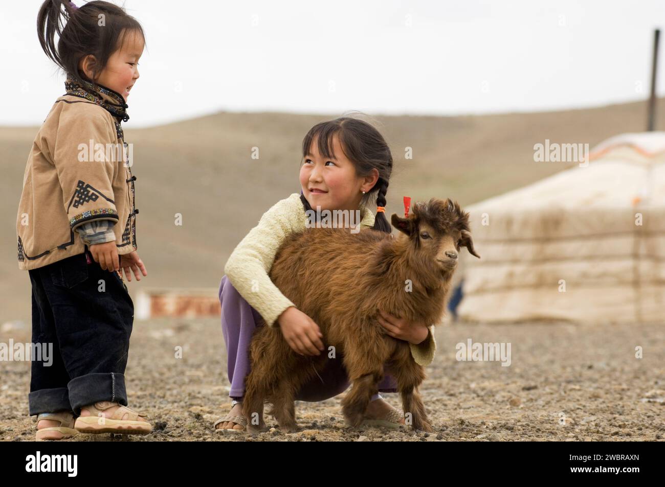 Nomadi Gobi, bambini con pecore Foto Stock