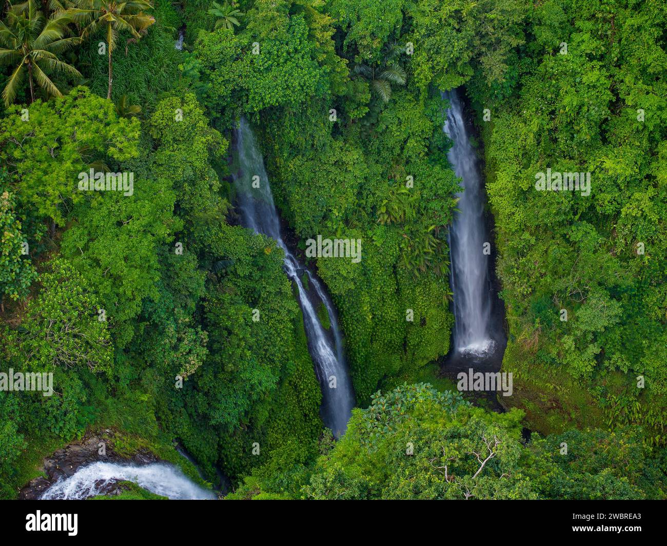 Vista aerea della cascata delle Figi sull'isola di Bali, Indonesia Foto Stock