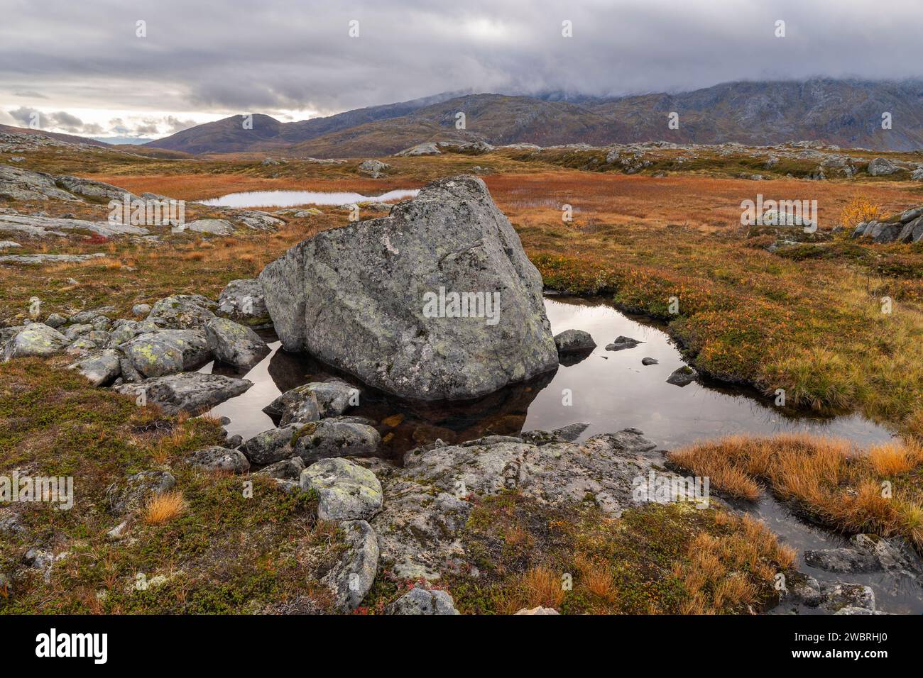 Pietra singola, masso, pietra di ghiacciaio arrotondata sull'isola di Kvaløya, a Troms, Norvegia. profonde valli glaciali con alberi di colore autunnale e picco roccioso Foto Stock