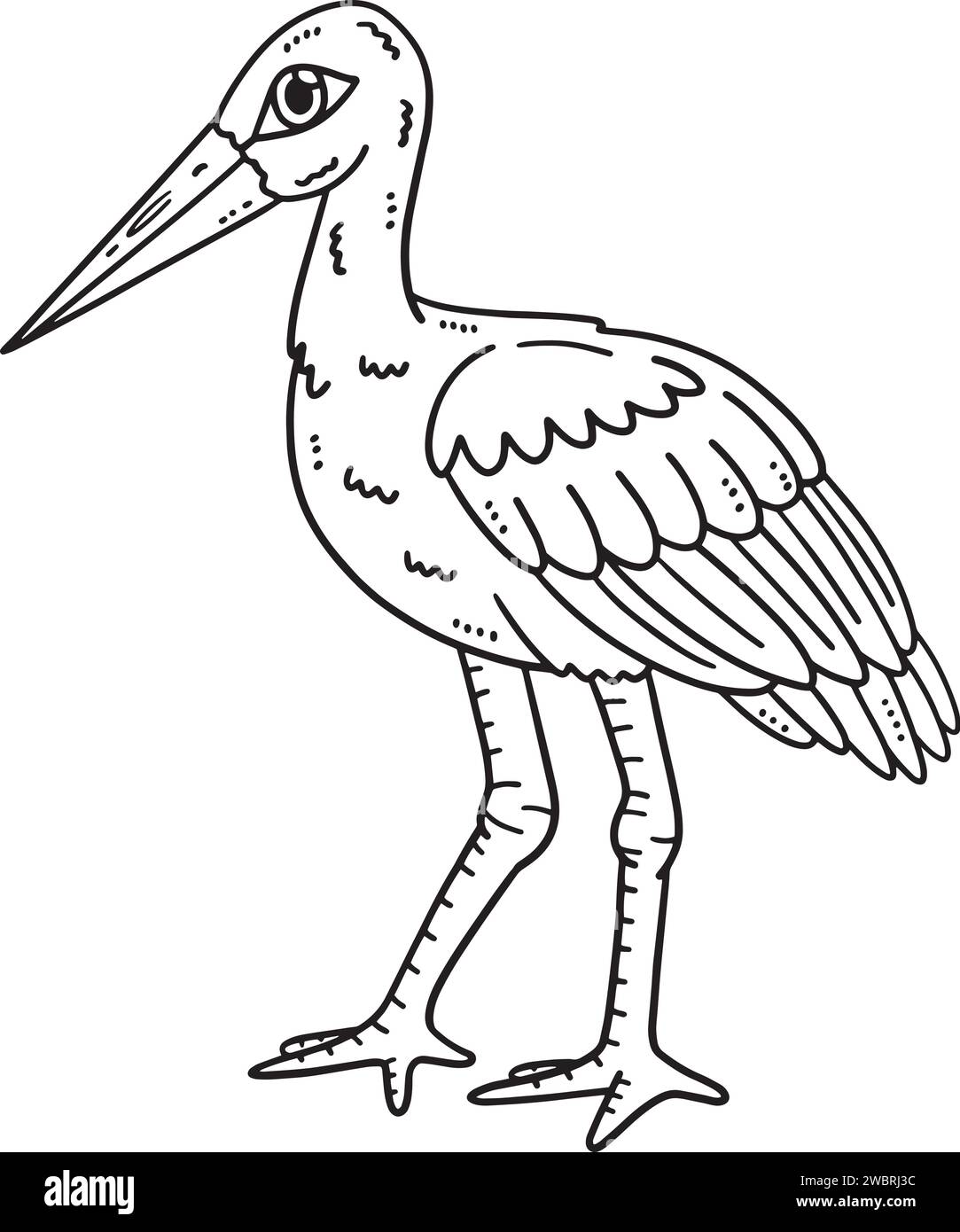 Pagina da colorare isolata per uccelli di cicogne bianche per bambini Illustrazione Vettoriale