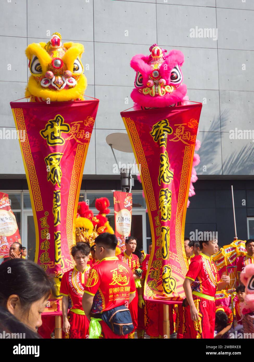 Hong Kong, Cina - 1 gennaio 2024: Hong Kong Dragon Lion Dance Extravaganza Festival 2024 a Hong Kong. Bandiere leoni. Foto Stock