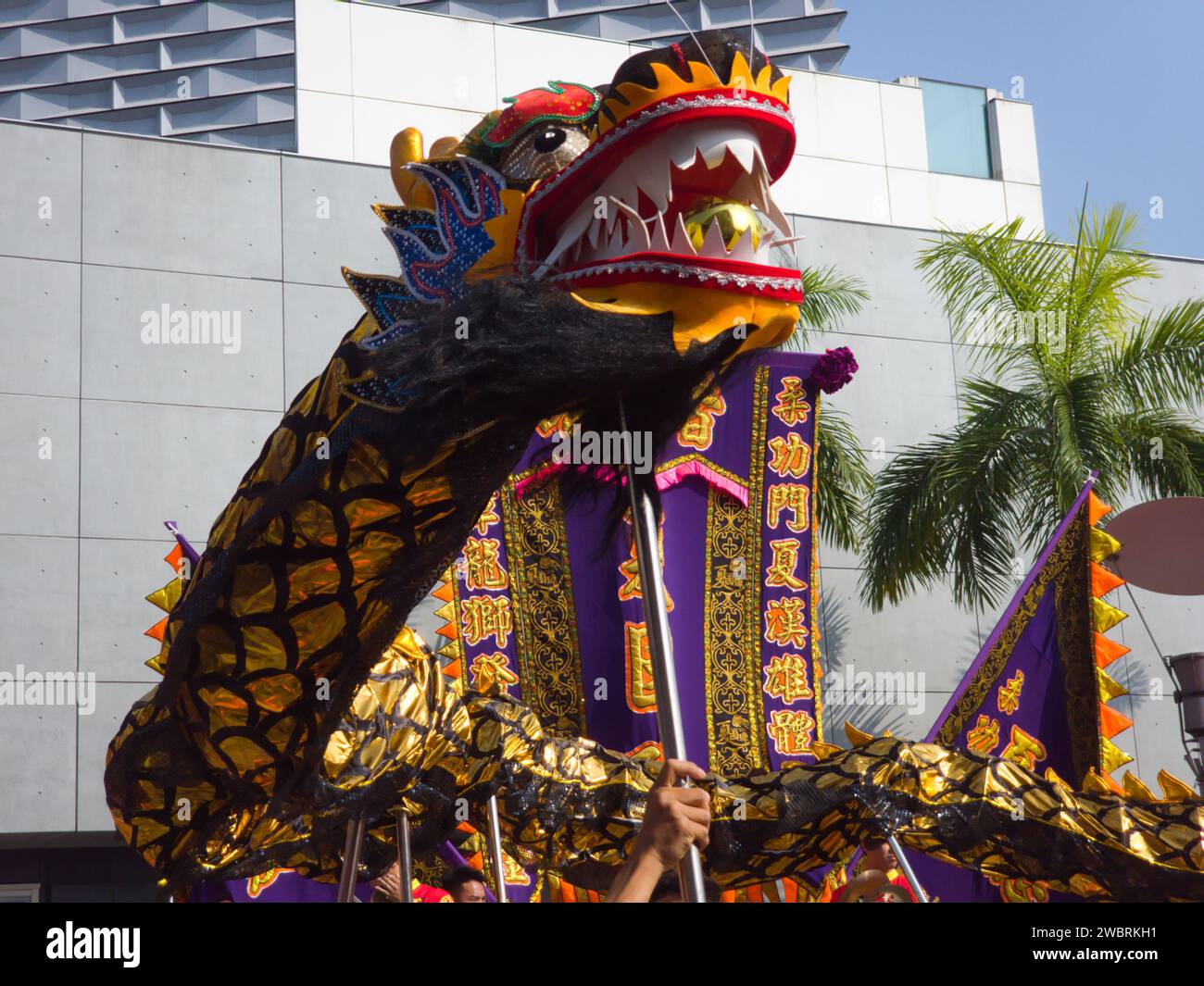 Hong Kong, Cina - 1 gennaio 2024: Hong Kong Dragon Lion Dance Extravaganza Festival 2024 a Hong Kong. Danza del drago nero. Foto Stock