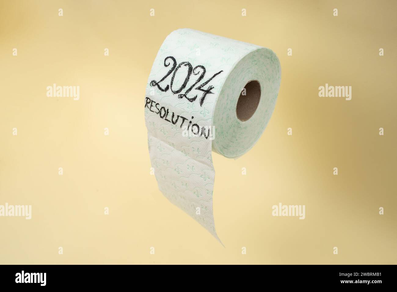 risoluzione 2024 scritta con inchiostro nero su un rotolo di carta igienica. levitazione su sfondo colore beige Foto Stock