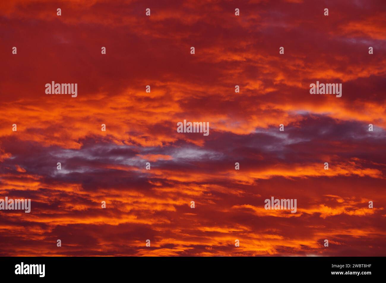 cielo arancio-cremisi al tramonto tra le nuvole, cielo rosso. Foto Stock