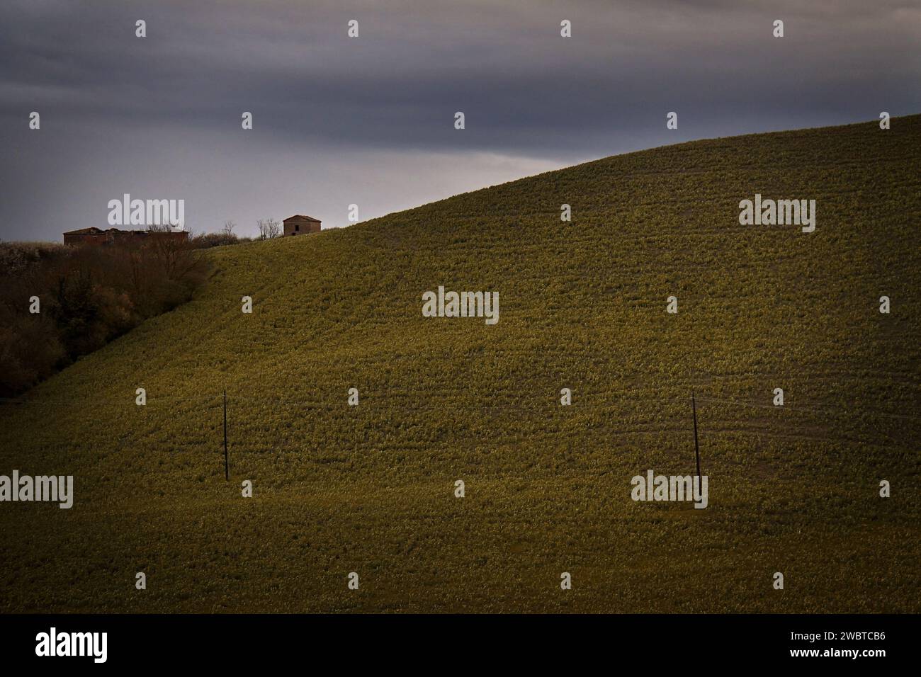 Un capanno solitario in cima a una collina in Toscana, Italia. Foto Stock